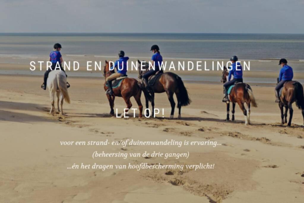 Villa met zicht op zee en duinen in reservaat - jacuzzi met zeezicht - Oostduinkerke Buitenkant foto